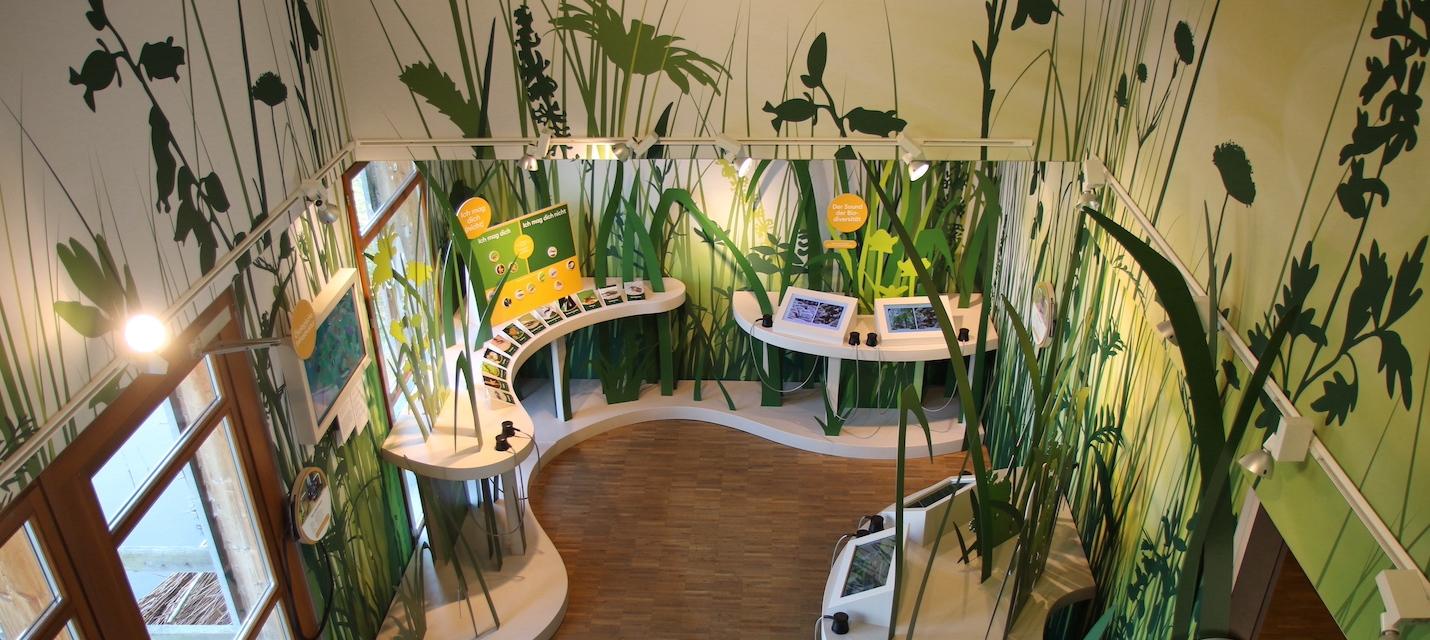 Sonderausstellung im Neeracherried